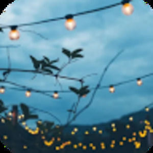 Meet your Posher, Juliet